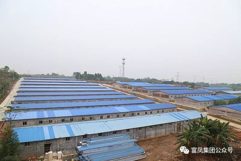 广西91视频福利APP导航农牧集团