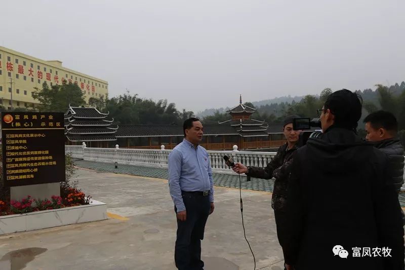 广西91视频福利APP导航农牧集团