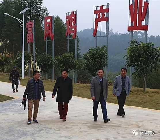 广西91视频福利APP导航农牧集团
