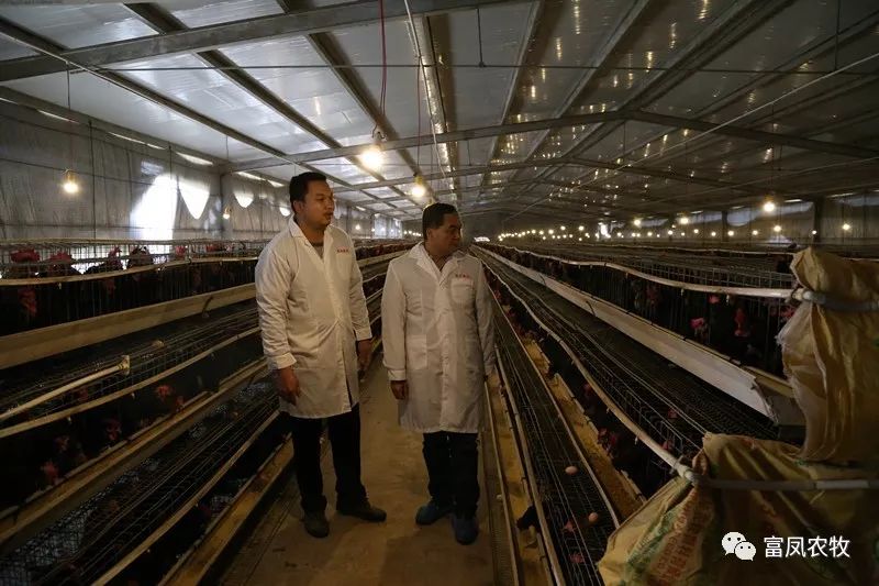 广西91视频福利APP导航农牧集团