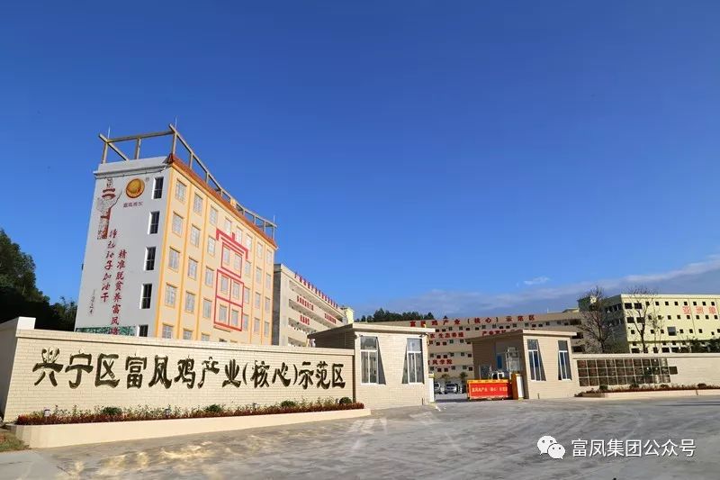 广西91视频福利APP导航农牧集团